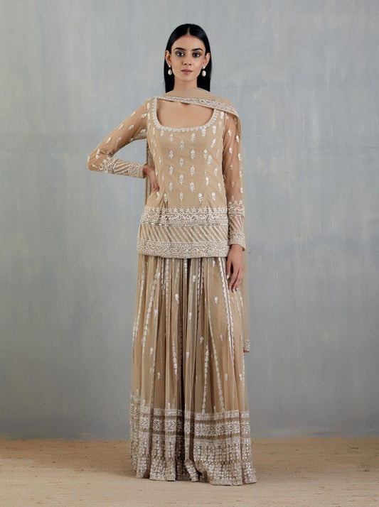 Beige & Cream Net Sharara Set